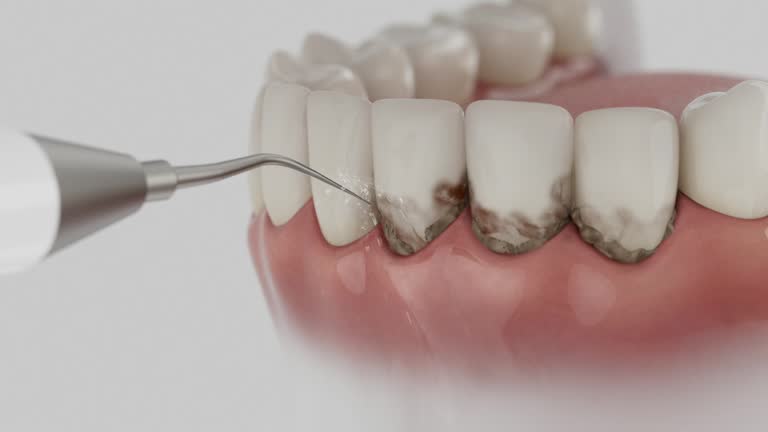 Reliable Dental contractor in Ellaville, GA by Dentist Open Now